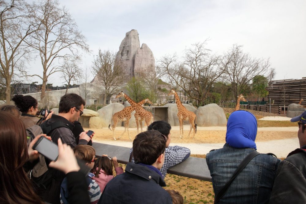 Dierentuin in Parijs