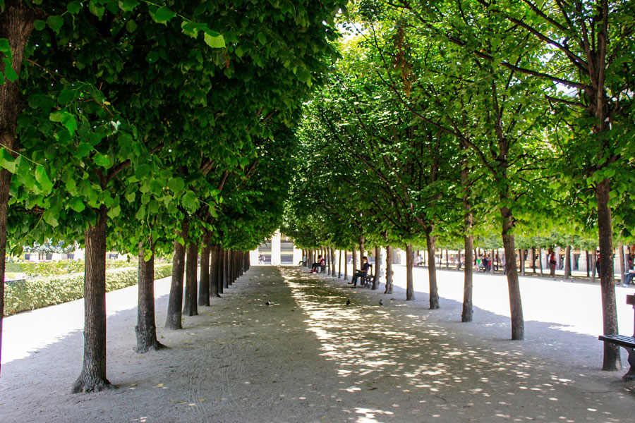 Jardin du Palais Royal 1e arrondissement Parijs