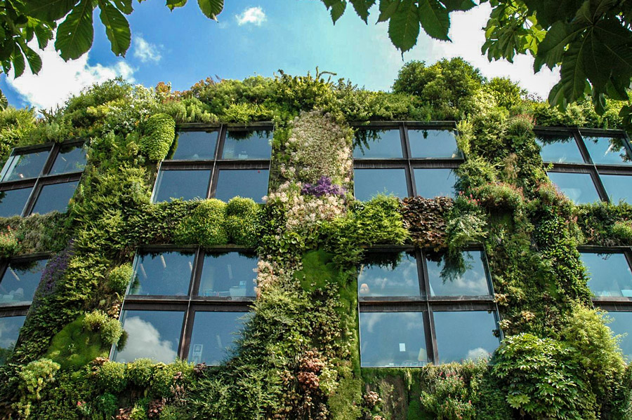 Verticale Tuin Musée du quai Branly Parijs