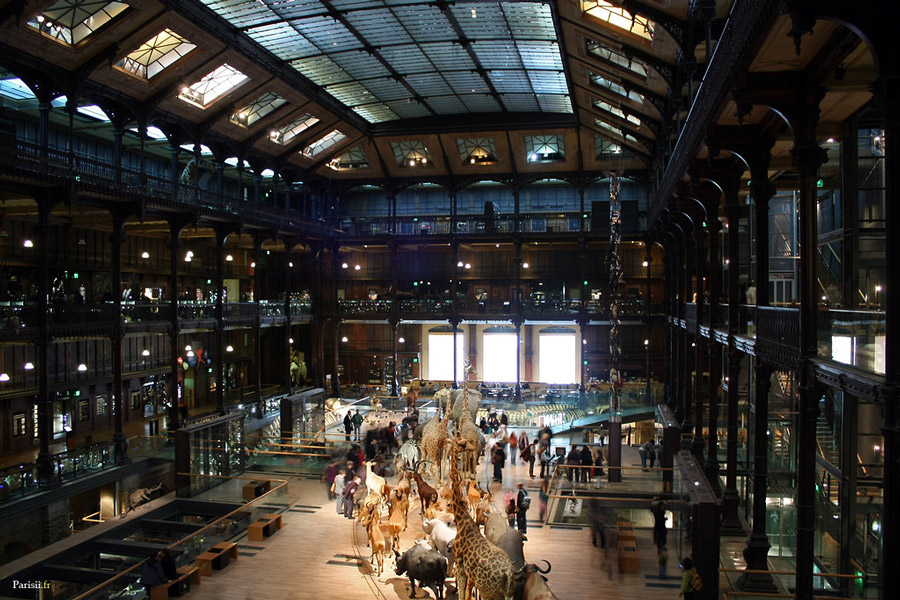 galerie de l'évolution Parijs