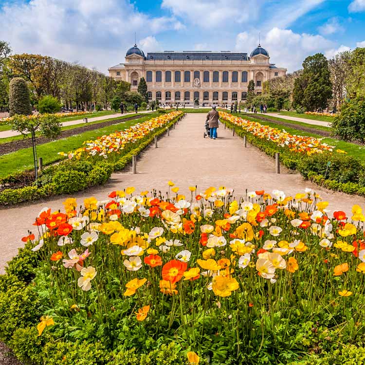 Jardin des Plantes