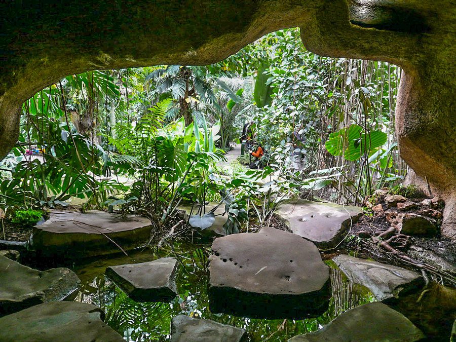 Serres Jardin des plantes