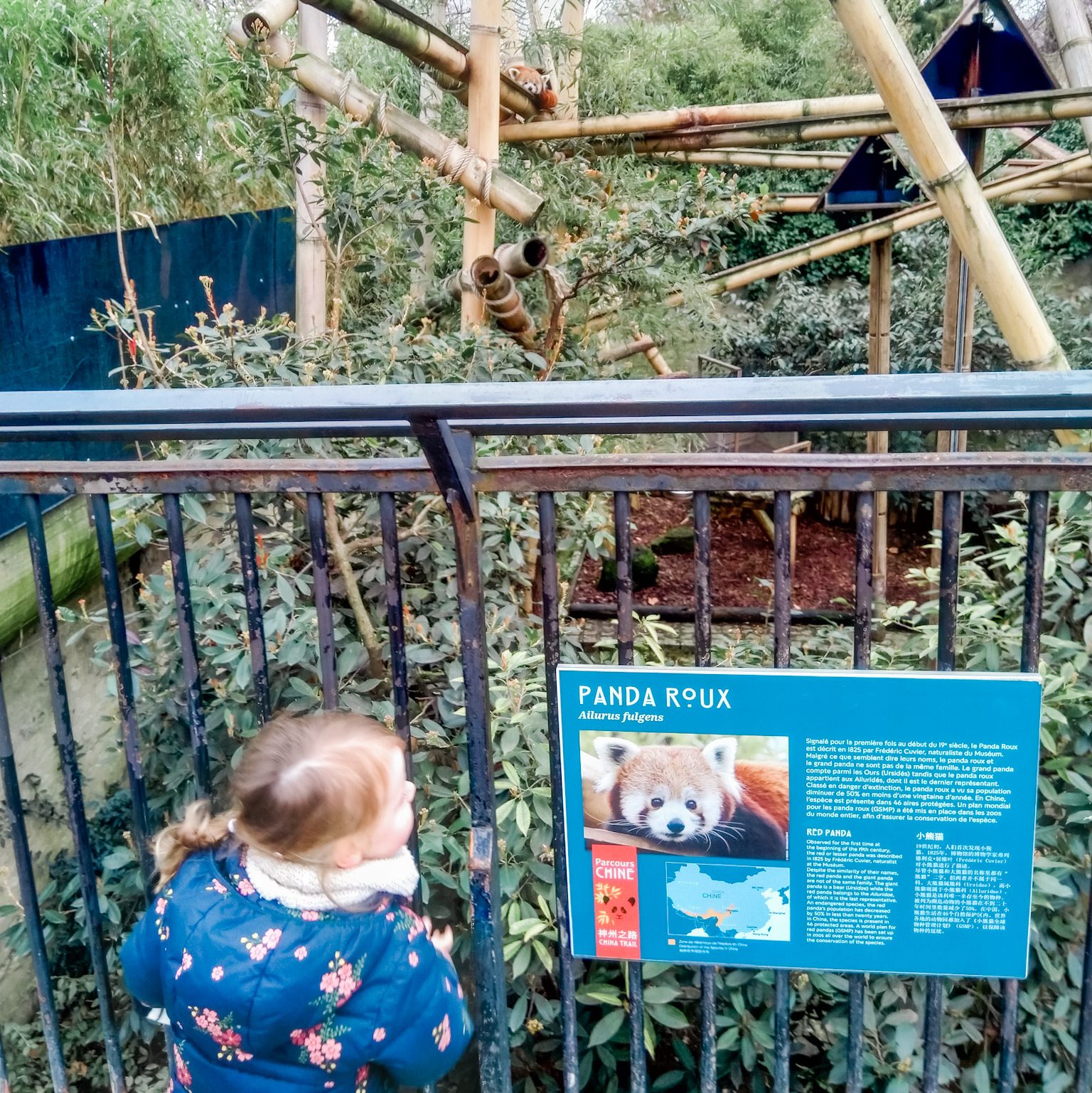 dierentuin parijs met kinderen bezoeken