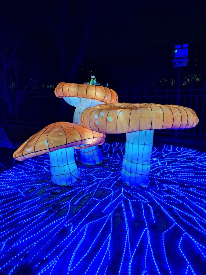 jardin des plantes lichtfestival