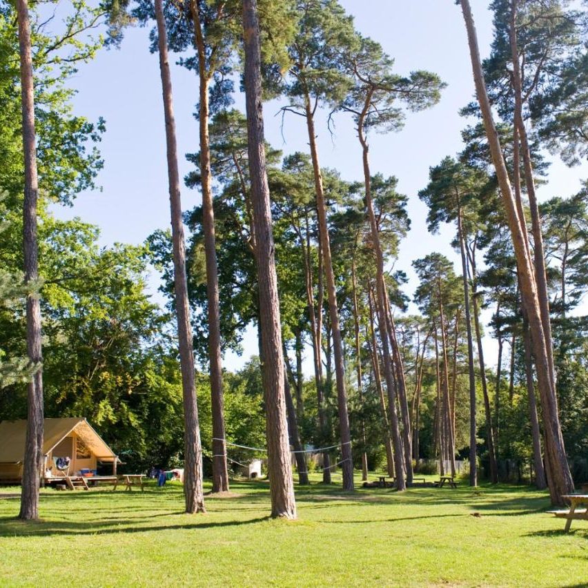 camping bij Parijs huttopia Rambouillet