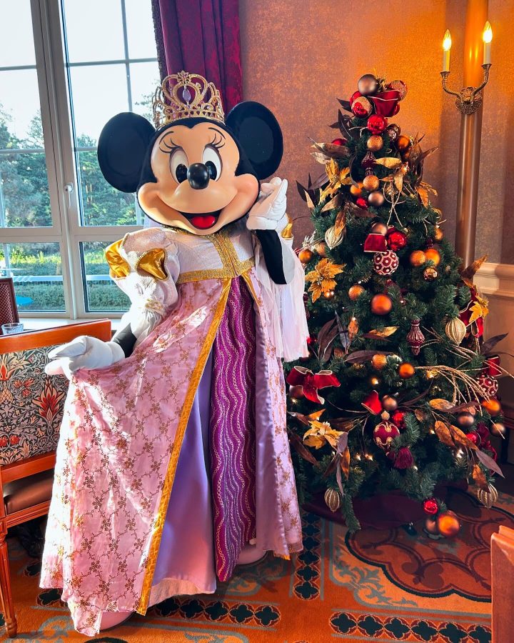 In dit hotel kom je zeer regelmatig een van de Disney figuren tegen