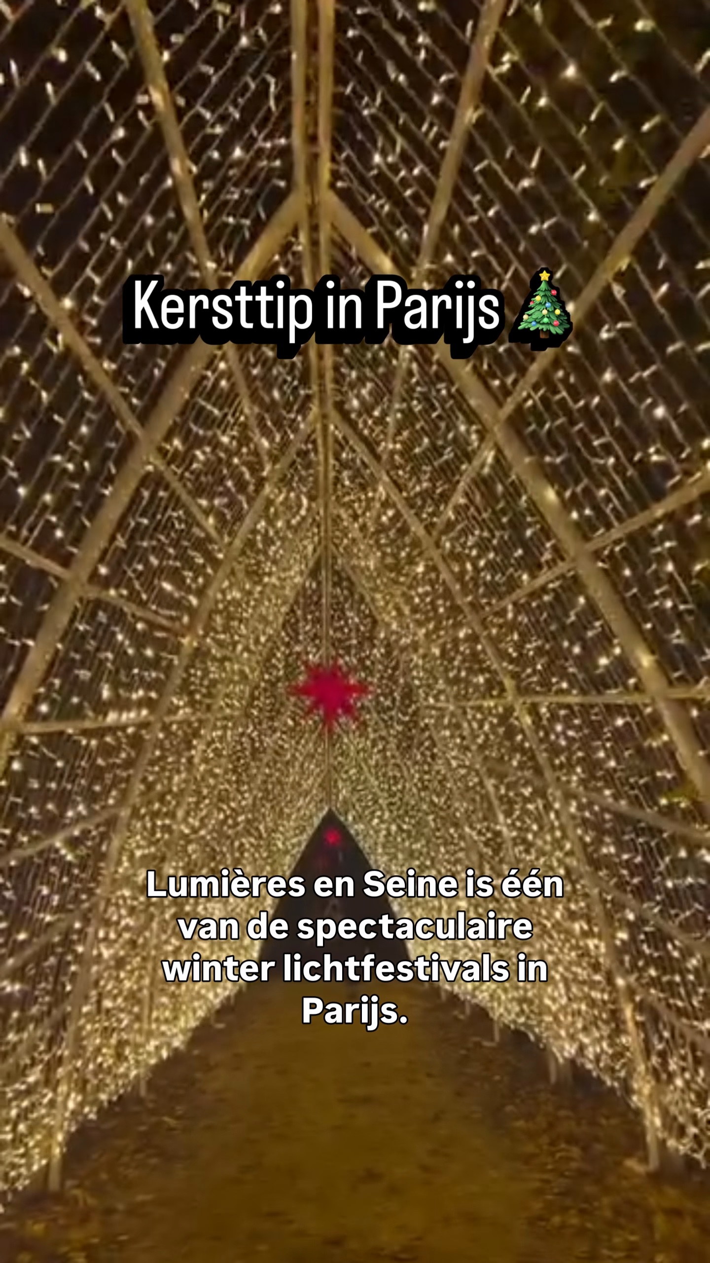 Bekijk onze Instagram Reel over lichtfestival Lumières en Seine in Parijs
